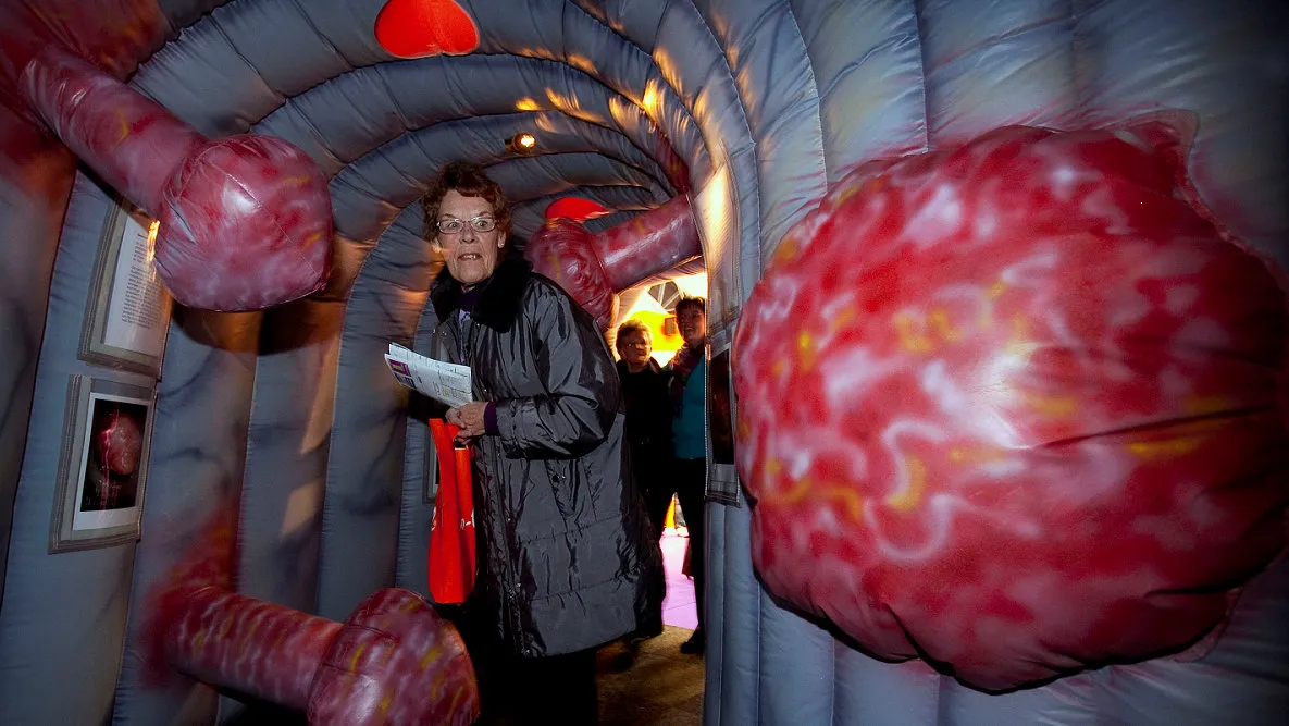 2016 02 24 st jansdal opblaasbare darm