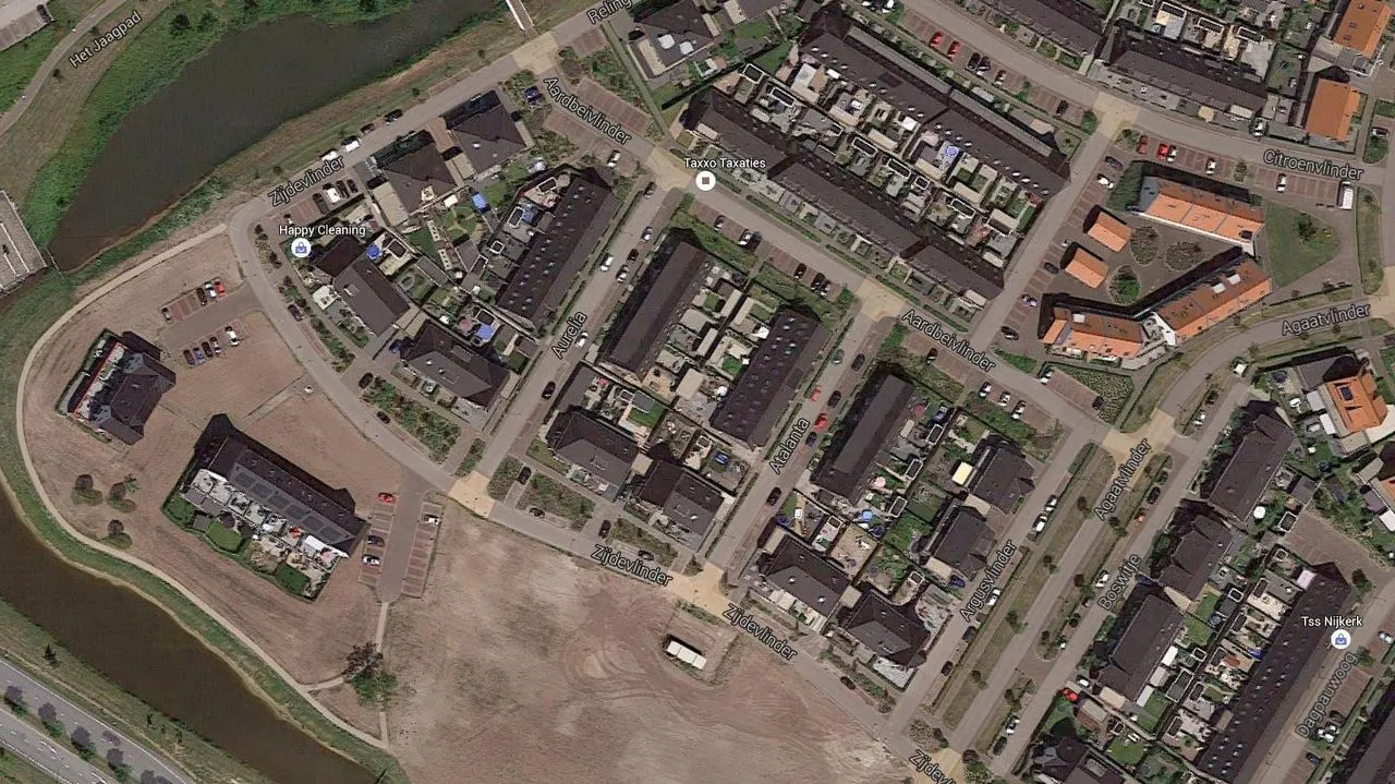 2016 03 25 aarbeivlinder