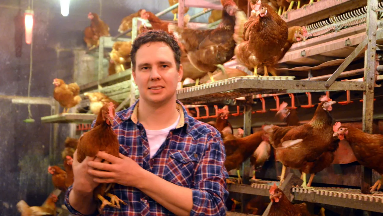 2016 04 20 aart jan vos kippen op stok