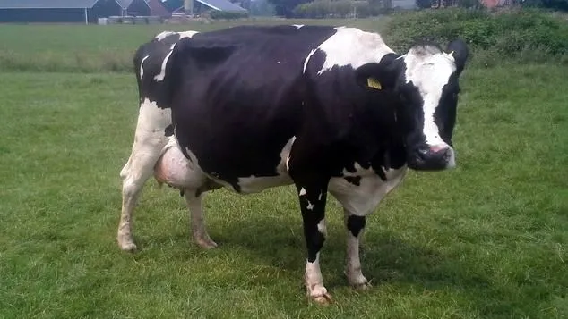 2016 08 022 klaartje 81