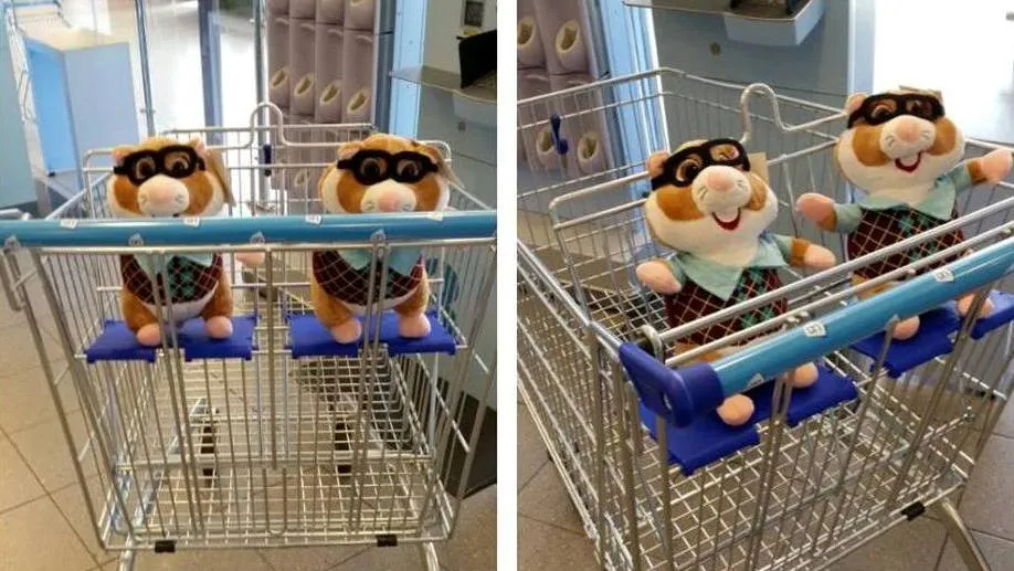 2016 08 29 albert heijn tweeling