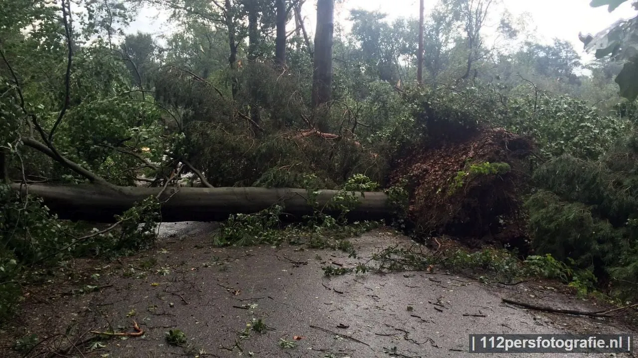 2016 09 04 stormschade appel 02
