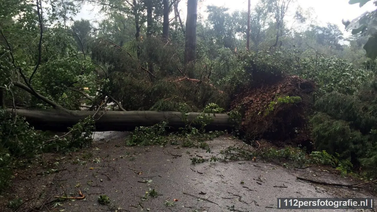 2016 09 04 stormschade appel 02