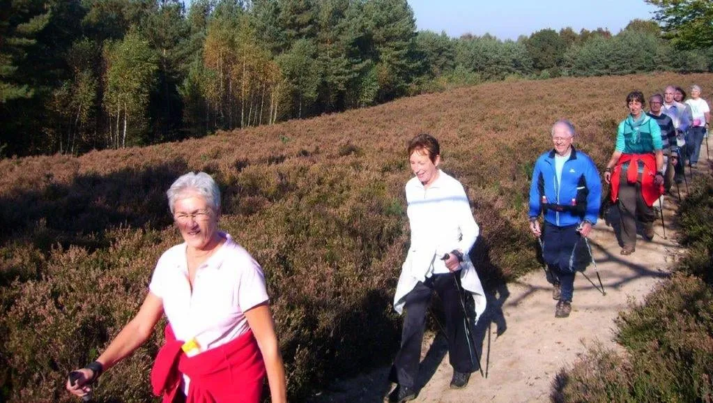 2016 09 15 avn nordic waking elst