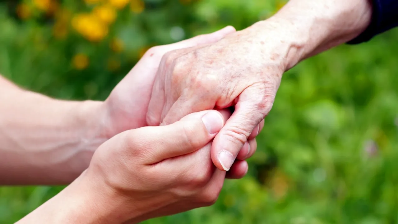 2016 09 16 hovenier helpt 2 10