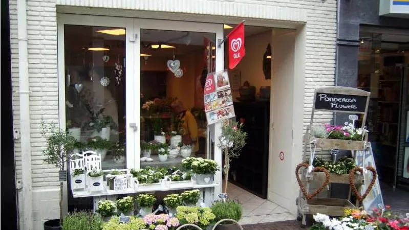 2016 09 20 ponderosa flowers