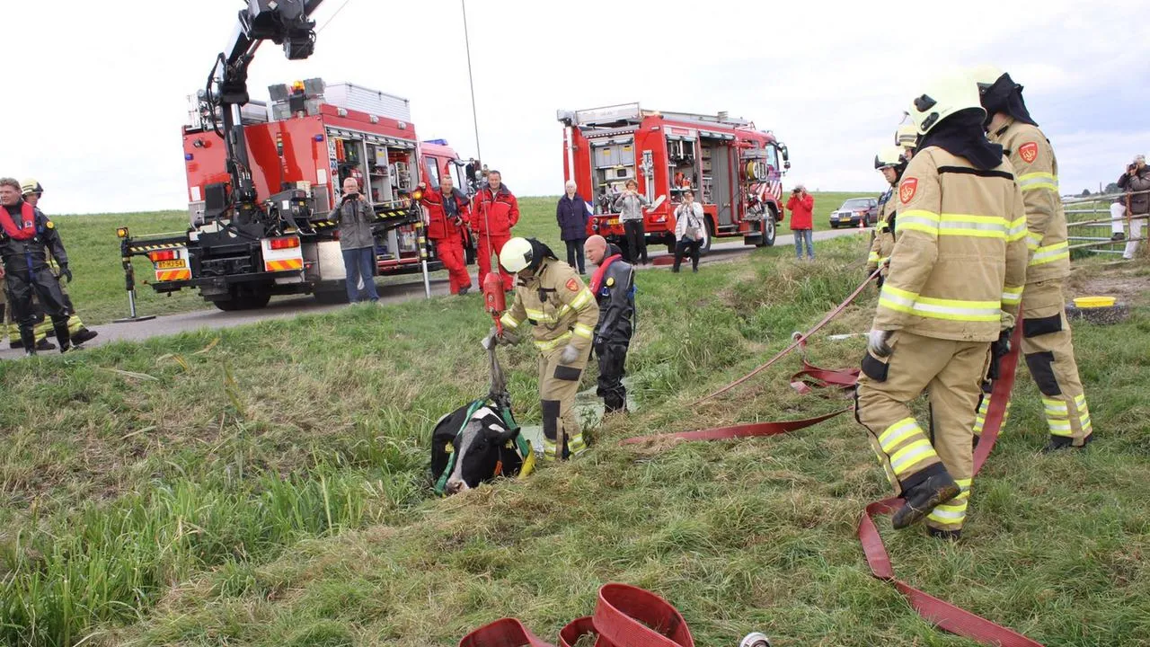 2016 10 08 ongeal zeedijk oe uit sloot 1