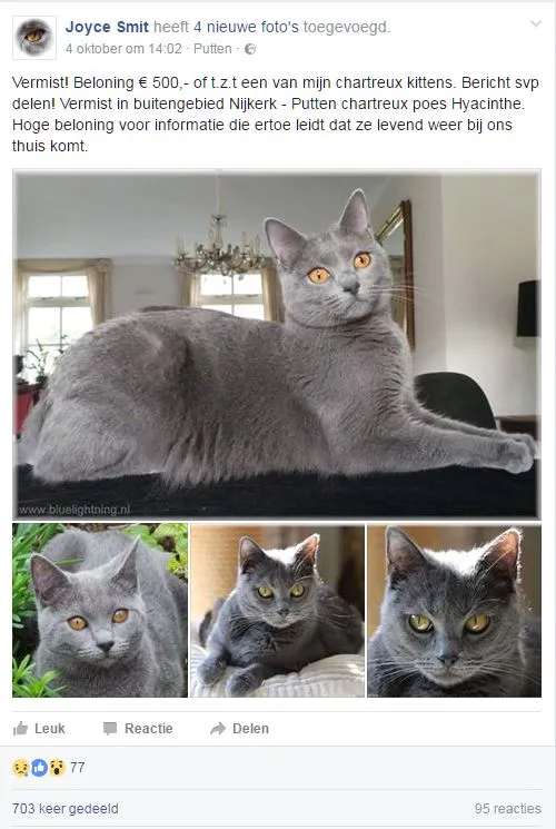 2016 10 10 hyacinthe