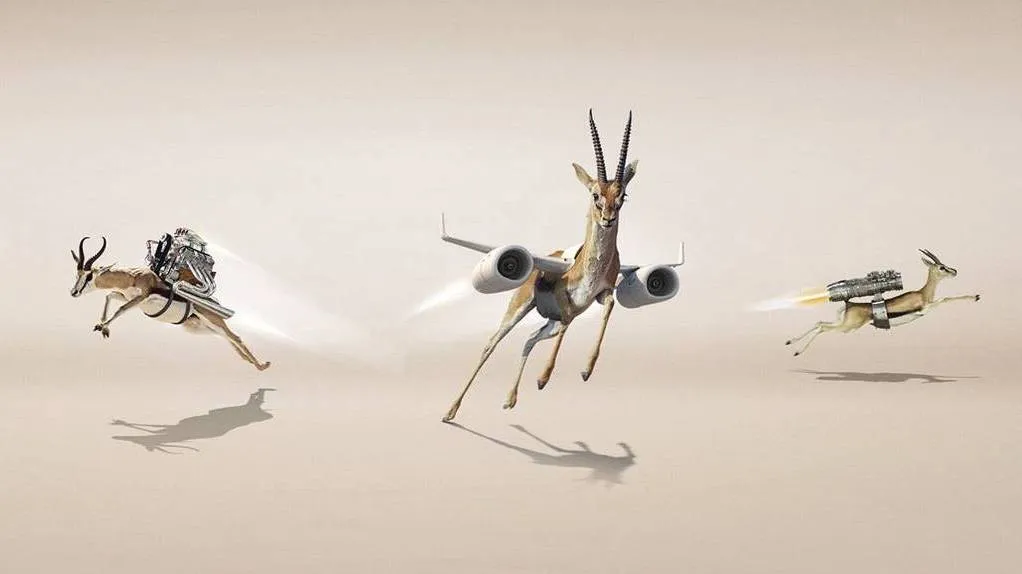 2016 10 14 fd gazellen 2016