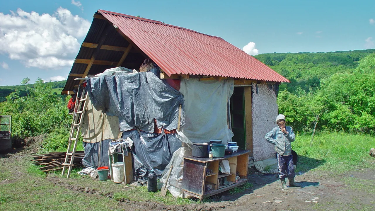 2016 11 13 gruisor zigeunerhutmet dak