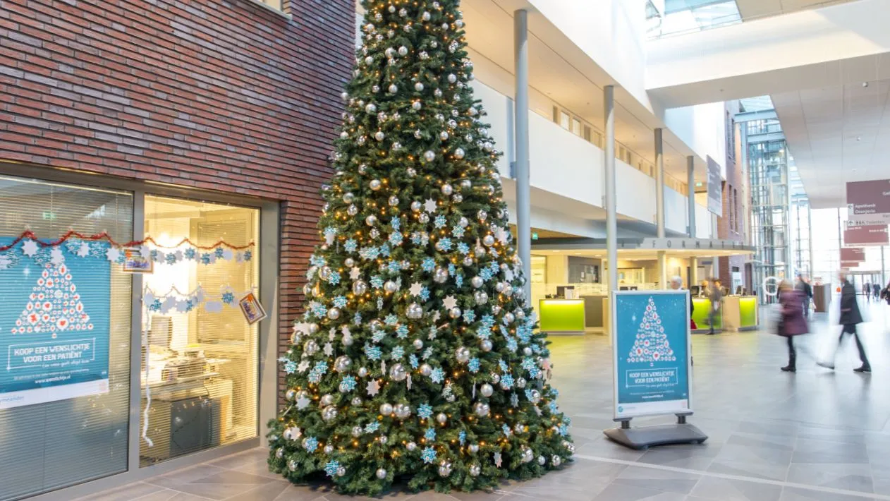 2016 11 23 wensaboom meander1