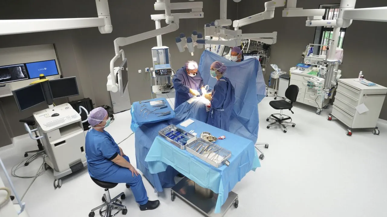 2017 01 10 ok complex 2017 st jansdal