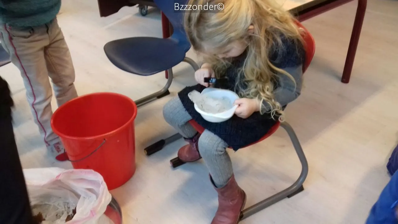 2017 01 24 bzzzonder 2