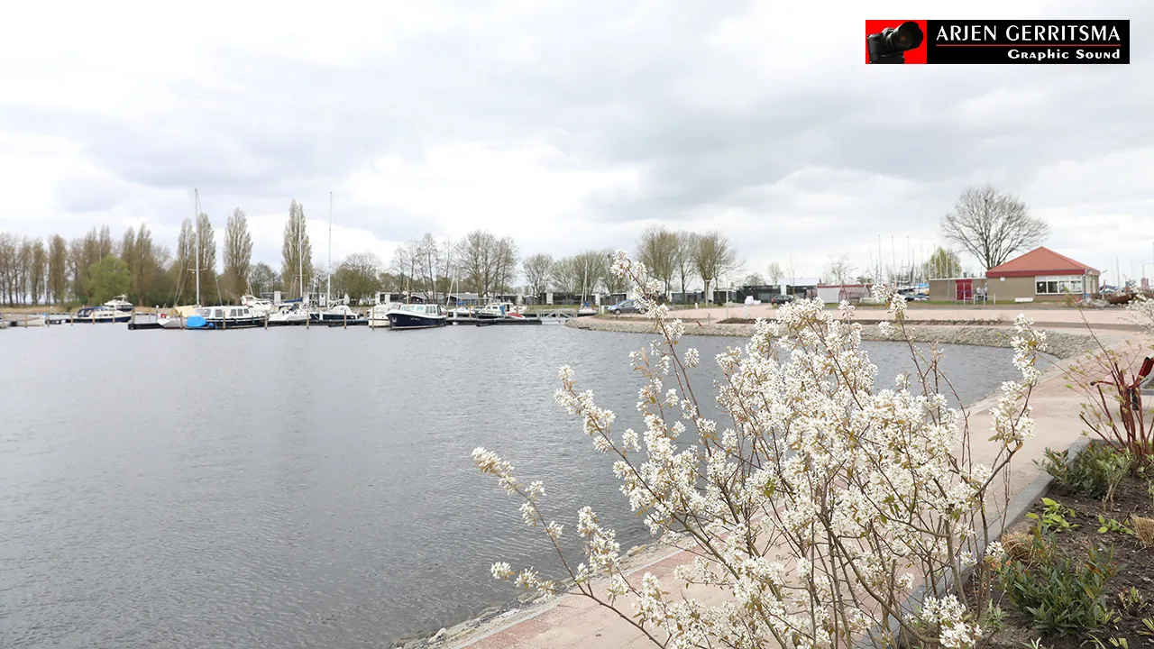 2017 04 05 zuidwal 013