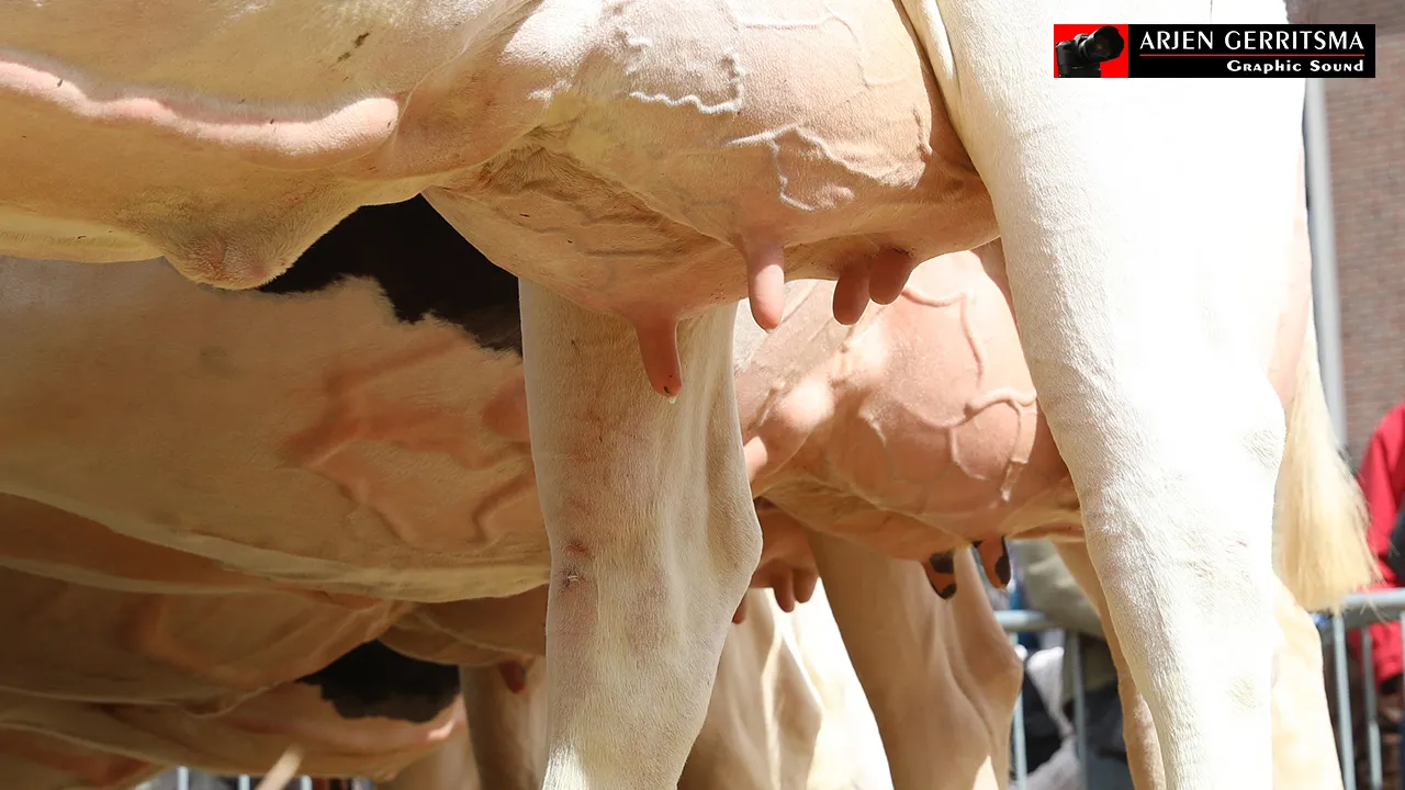 2017 04 10 boerenmaaandag 040