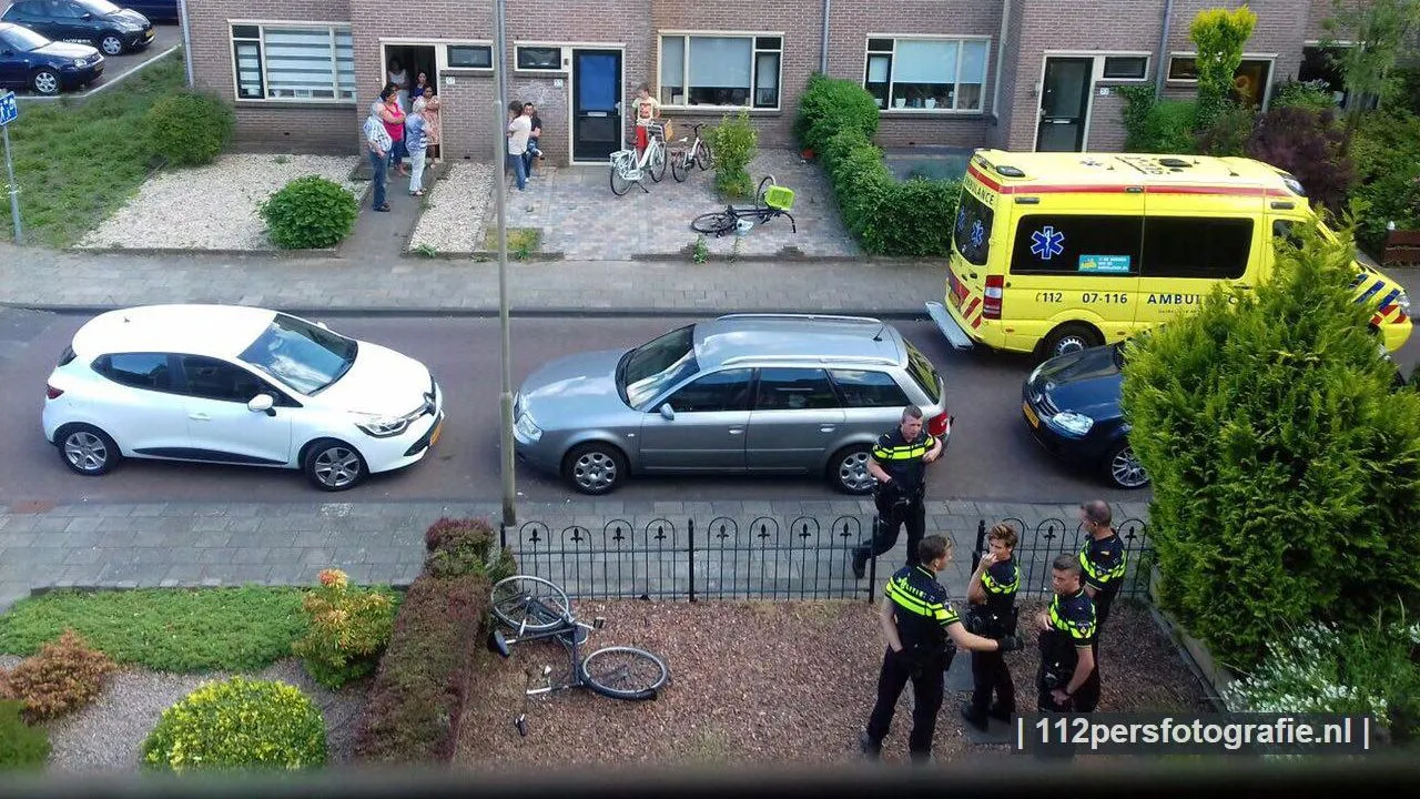 2017 06 05 burenruzie buizerdlaan