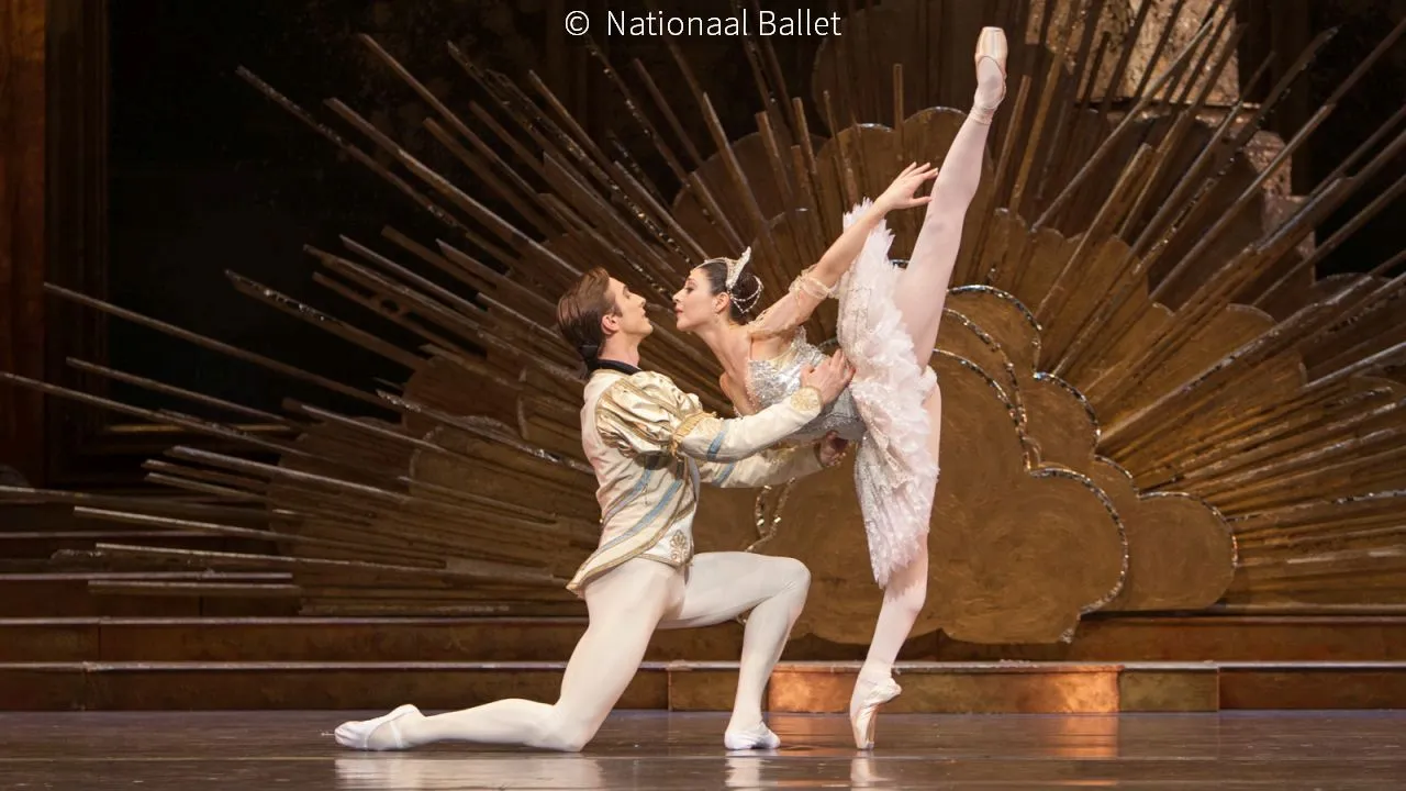 2017 06 06 sleeping beauty 3