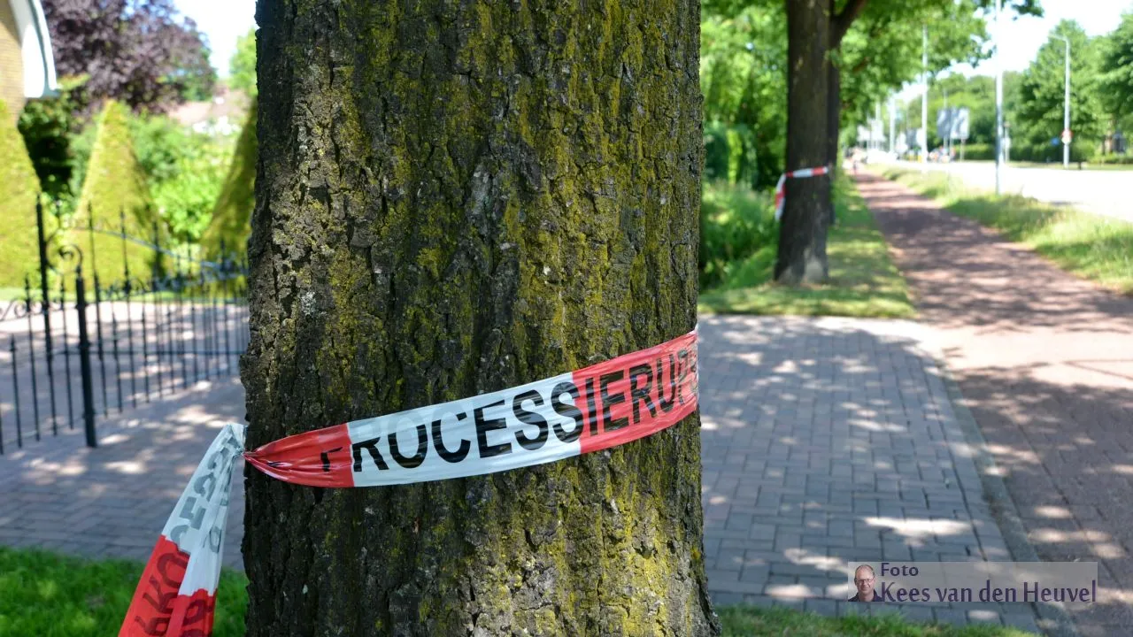 2017 06 14 processie eikenrups