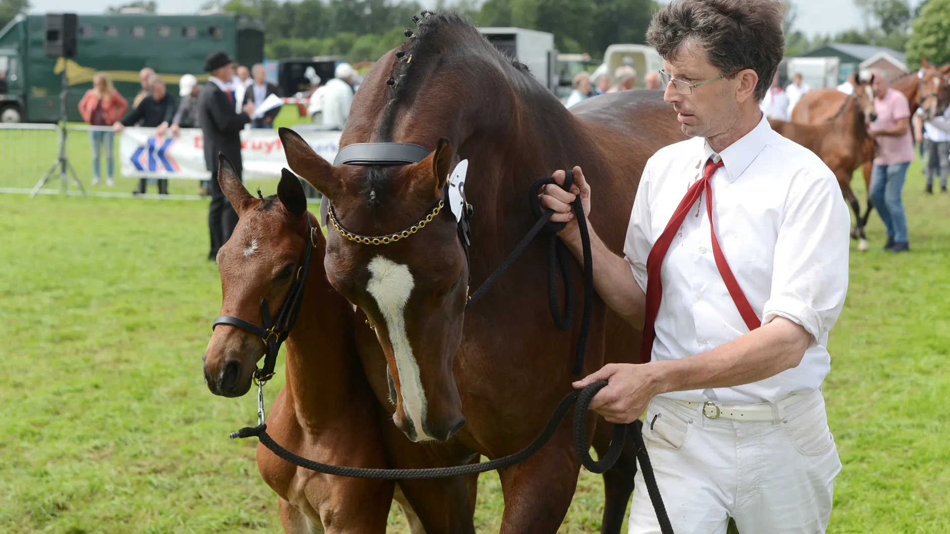 2017 07 27 paardenkeuring a