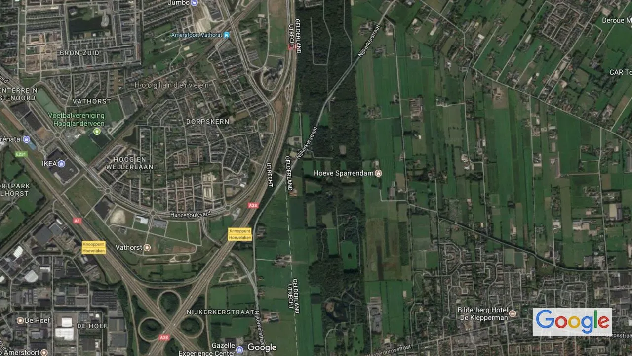 2017 07 31 hoevelakens bos