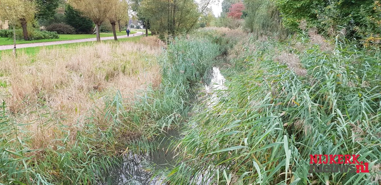 2017 10 20 groenonderhoud 1