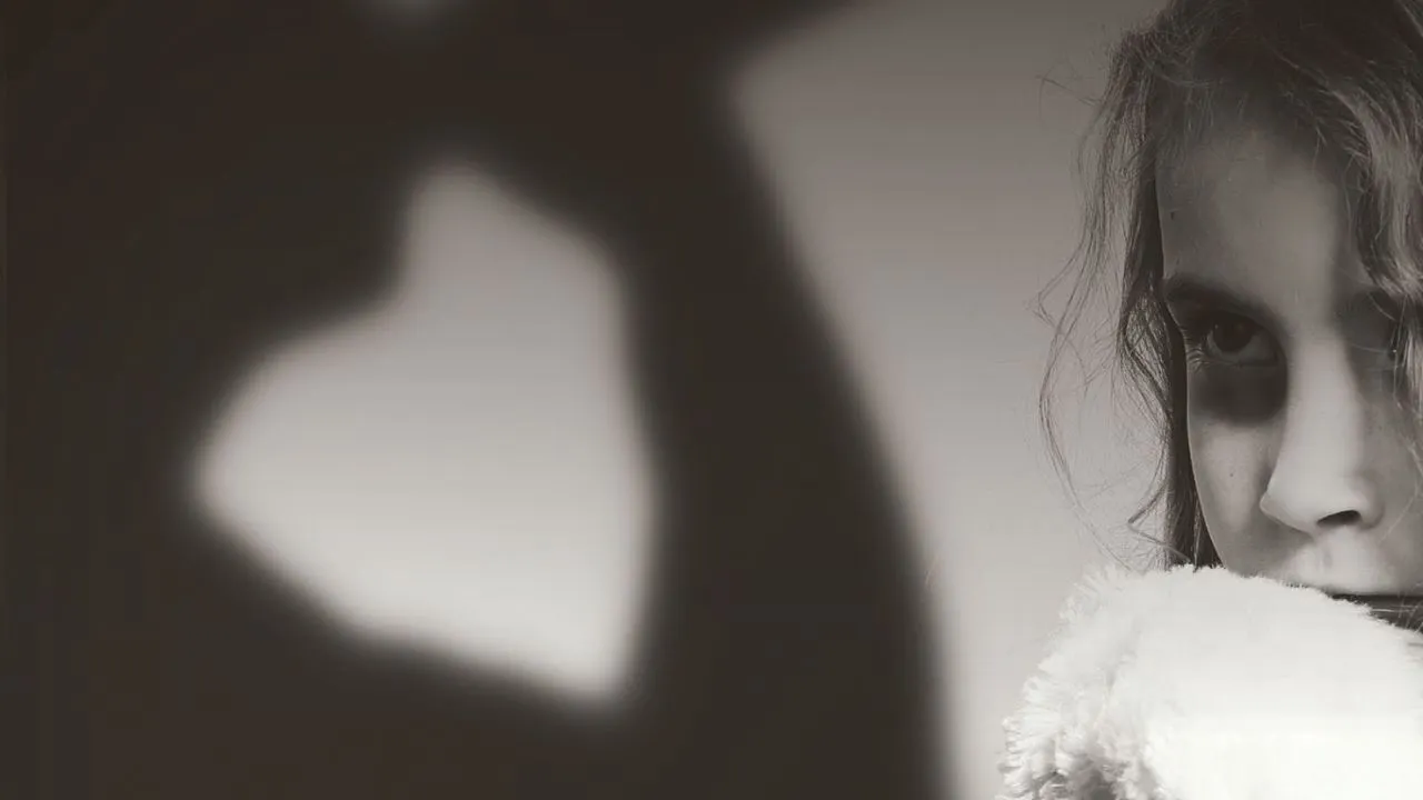 2017 10 24 coverfoto schaap in wolfskleren