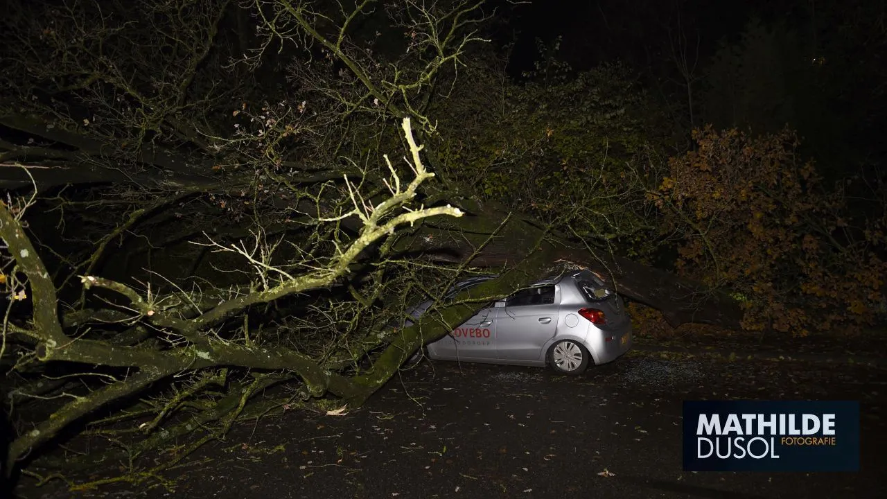 2017 11 21 meinstraat 2