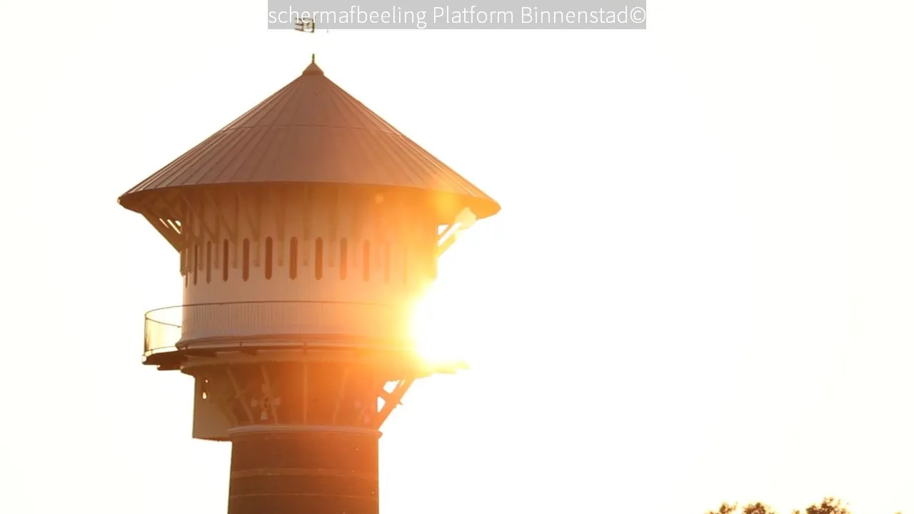 2018 03 15 platform binnenstad