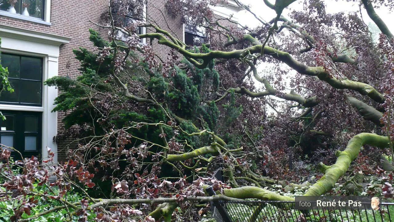 2018 05 30 huize de brink de oude boom achter huize de brink heeft het vanmorgen 30 05 2018 vroeg in de morgen begeven r te pas 2