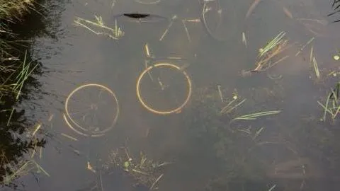 2018 06 26 fietsen sloot hoevelaken2