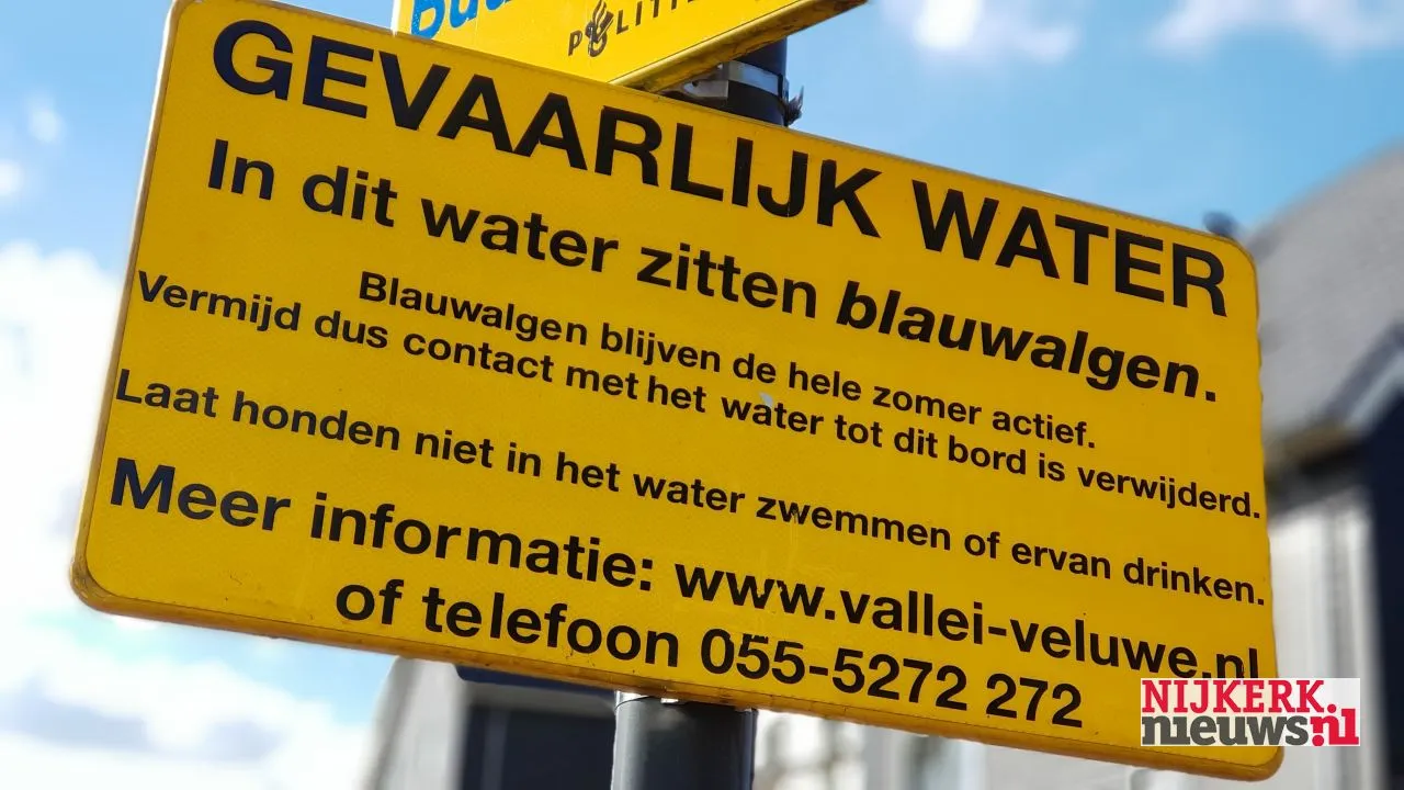 2018 08 13 blauwalg 11