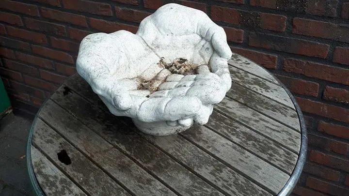 2018 09 19 beeld door ruit