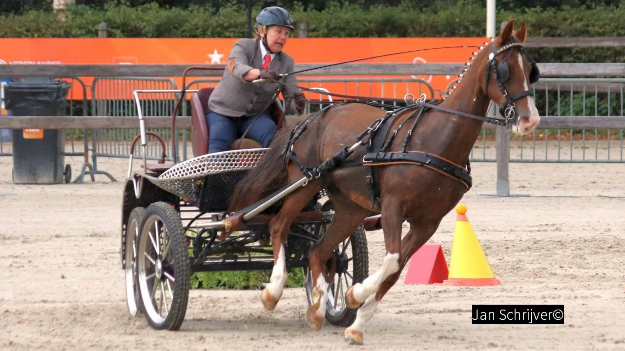 2018 09 23 petra de graaf 001