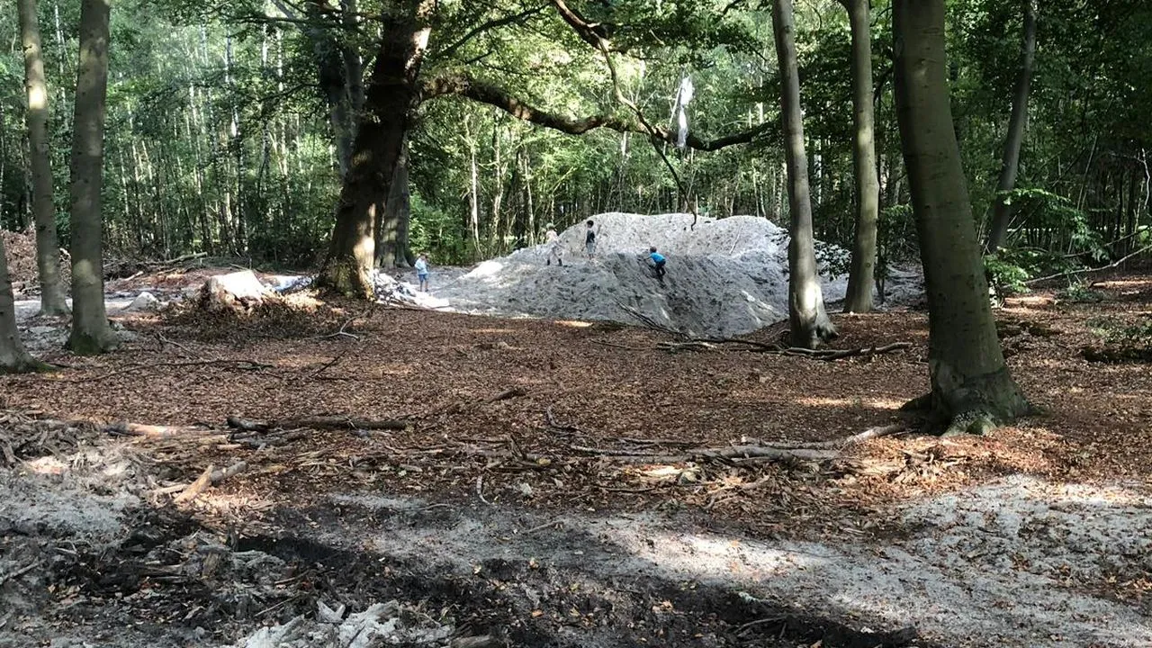 2018 10 11 zand hoevelakense bos