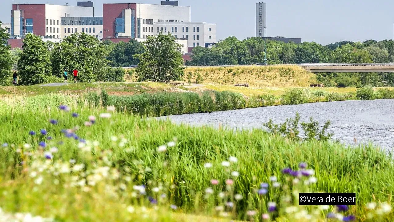 2018 10 14 meander 02