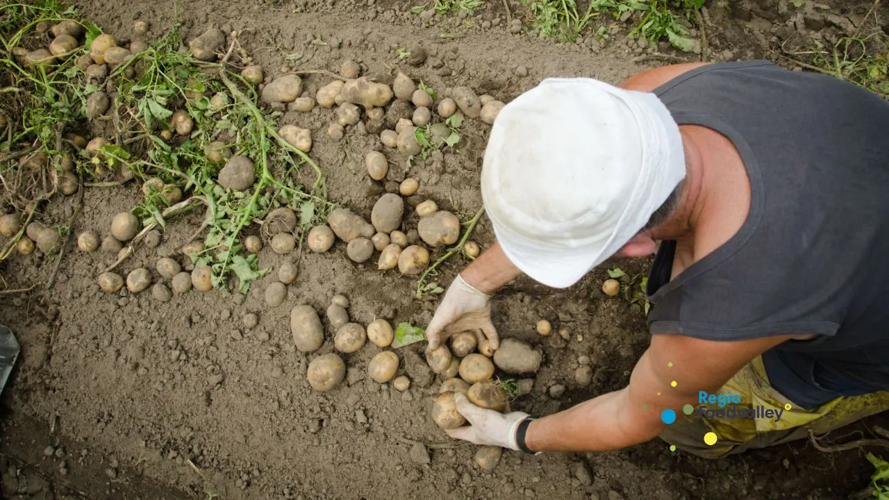 2018 10 14 regio foodvalley 2