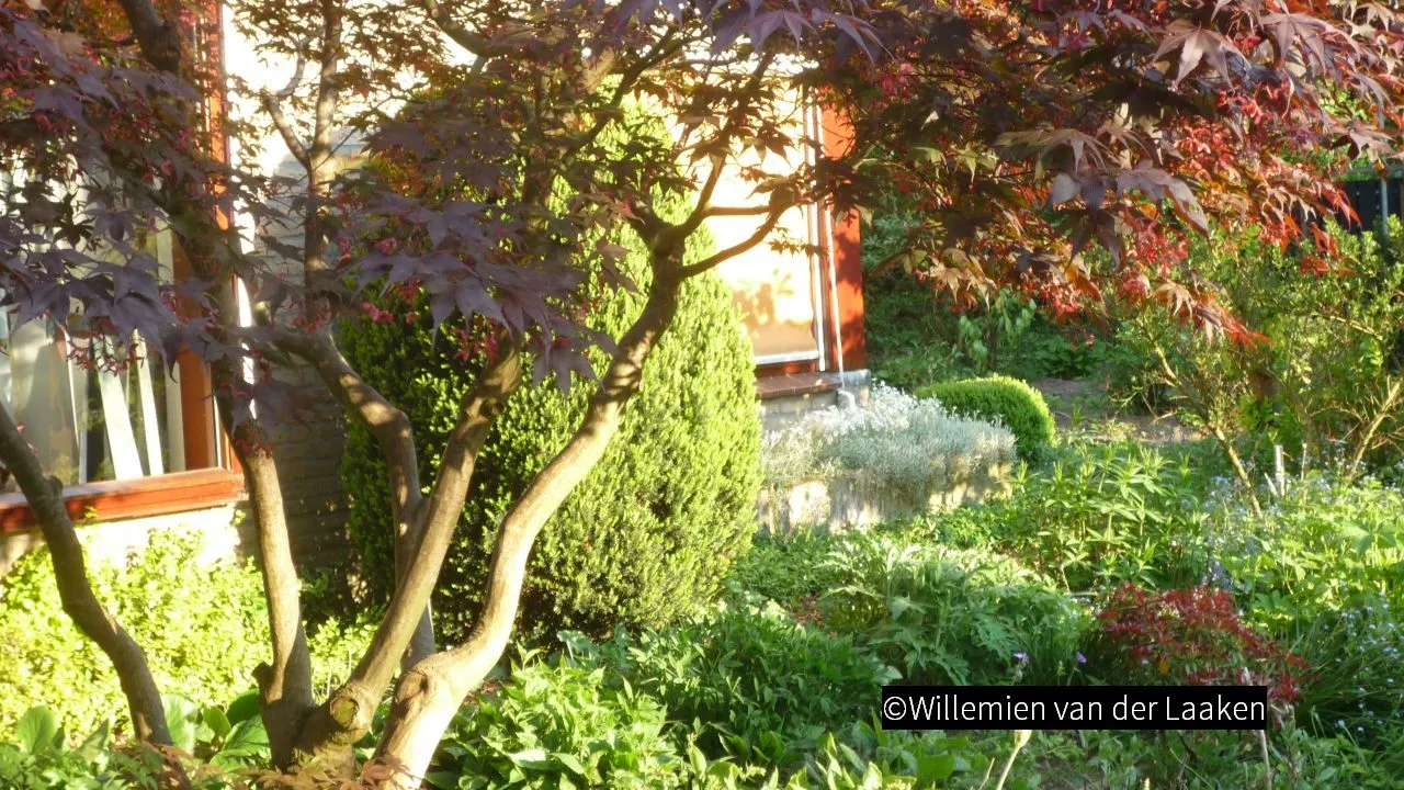 2018 11 03 groei en bloei 01