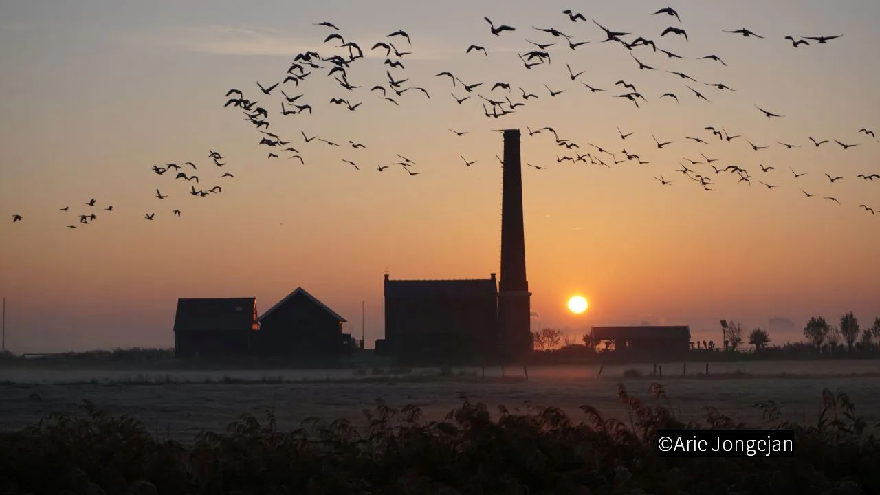 2018 11 06 stoomgemaal 2