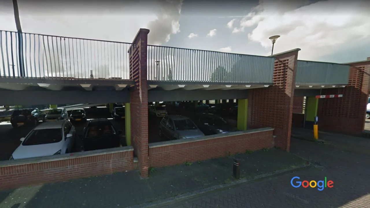 2018 11 22 bonte koe