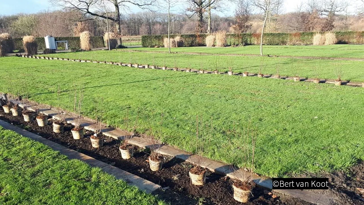 2018 12 10 kerkhof hoevelaken begraafplaats 001