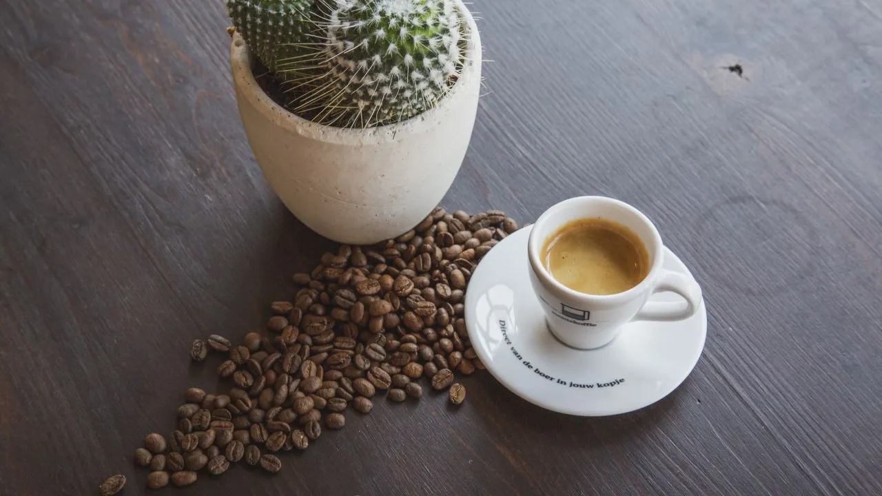 2018 12 17 zwarte koffie 2