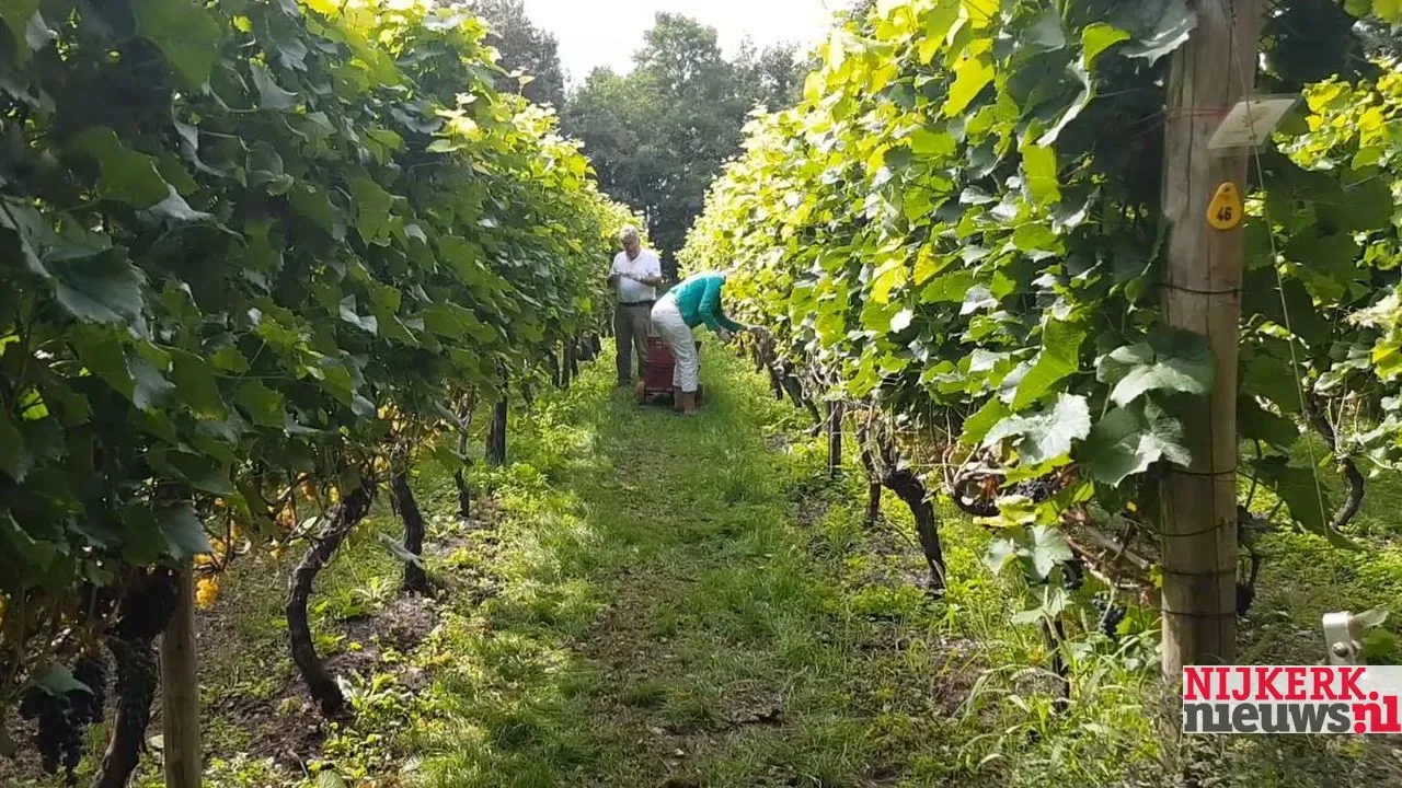 2019 01 09 breede beek 3