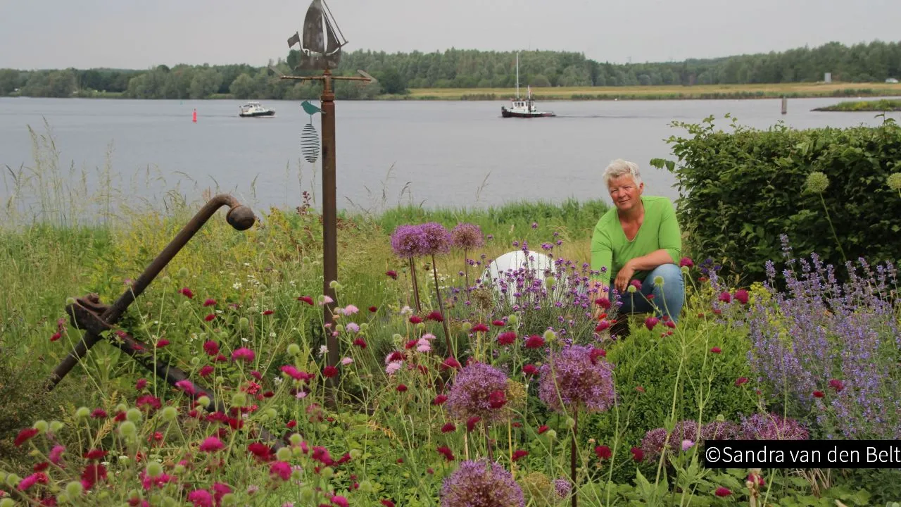 2019 01 21 groei en bloei sandrhildegard steenbrink 001