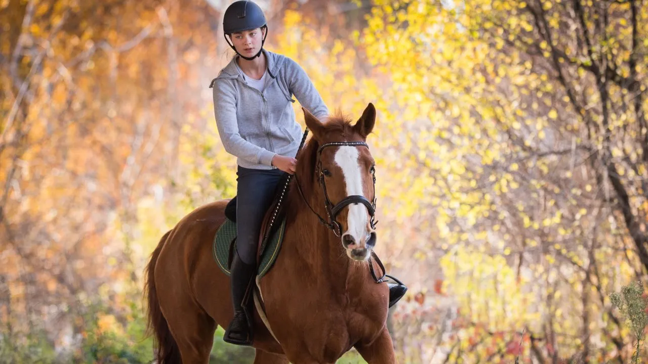 2019 01 21 paardenklas 1