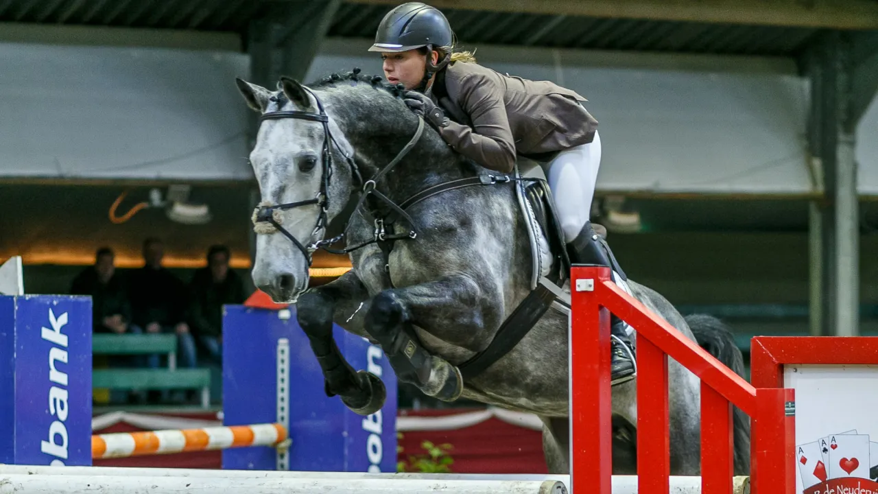 2019 01 29 wilke kamphorst 1
