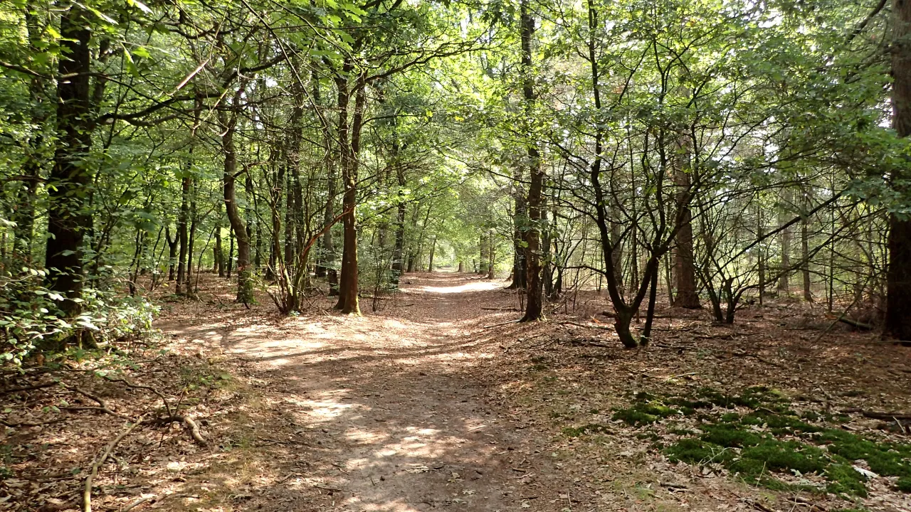 2019 01 30 wandelen1