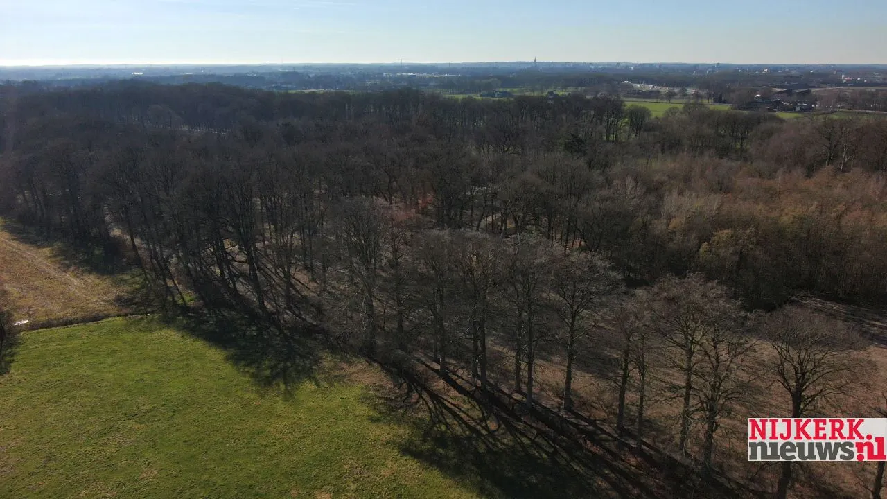 2019 02 25 hoevelakense bos 003