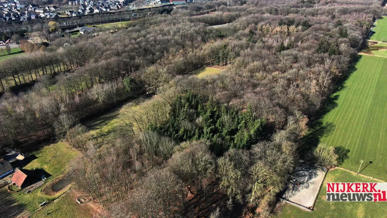 2019 02 25 hoevelakense bos 005