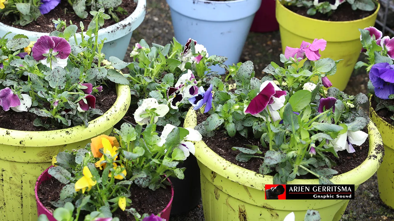 2019 03 15 nl doet 011