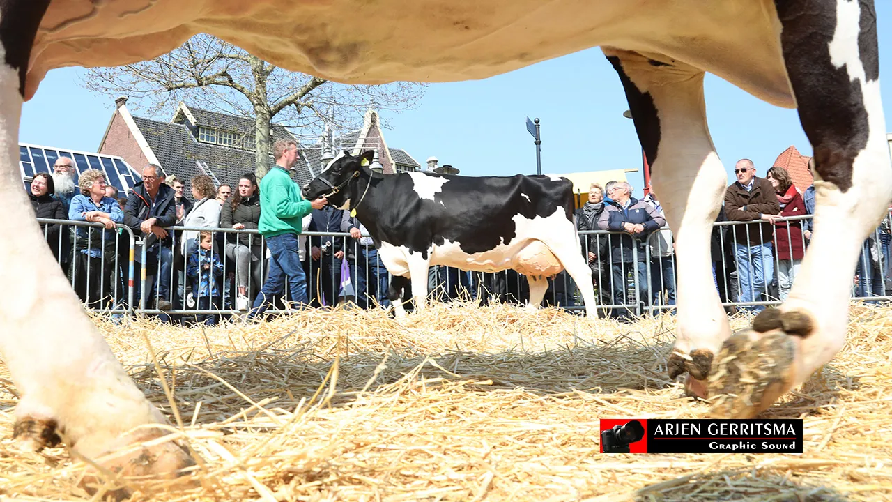 2019 04 15 boerenmaandag 047